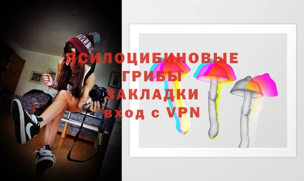 спиды Абаза