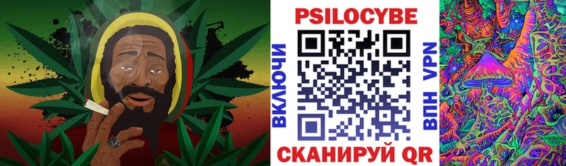Псилоцибиновые грибы Cubensis  где можно купить   kraken вход  Заволжье 